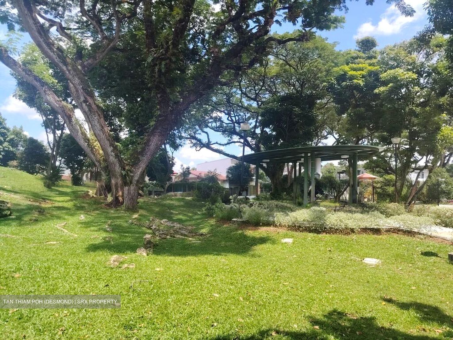 Ang Mo Kio Avenue 5 (D20), Terrace #495615851
